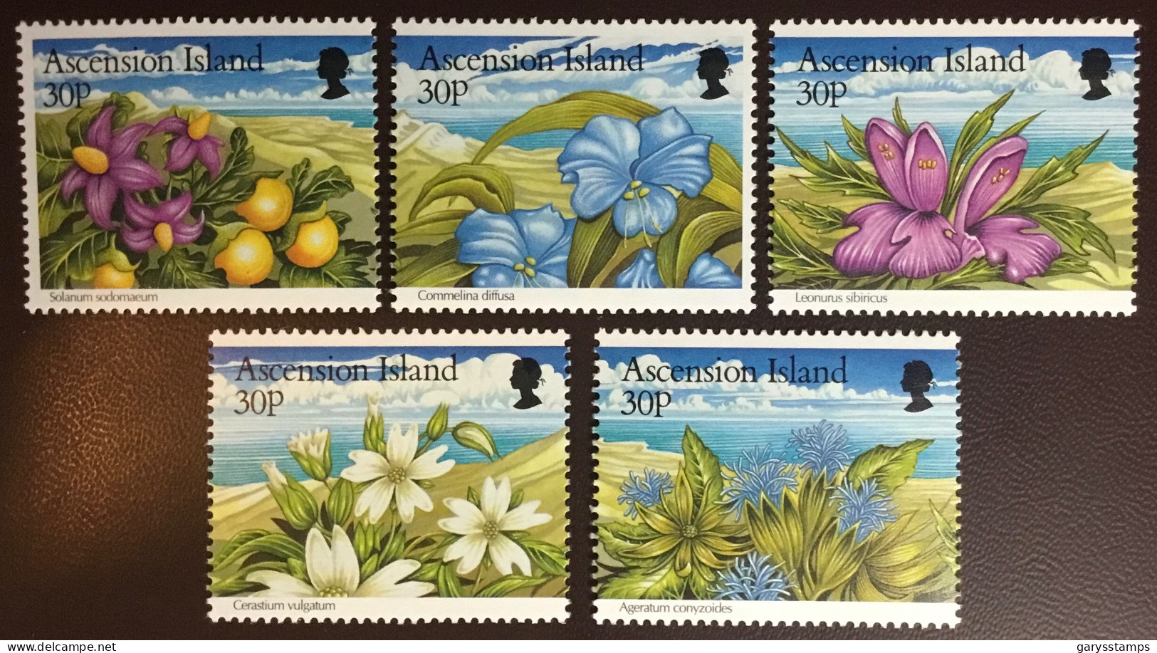 Ascension 1997 Wild Herbs Plants Flowers MNH - Otros & Sin Clasificación