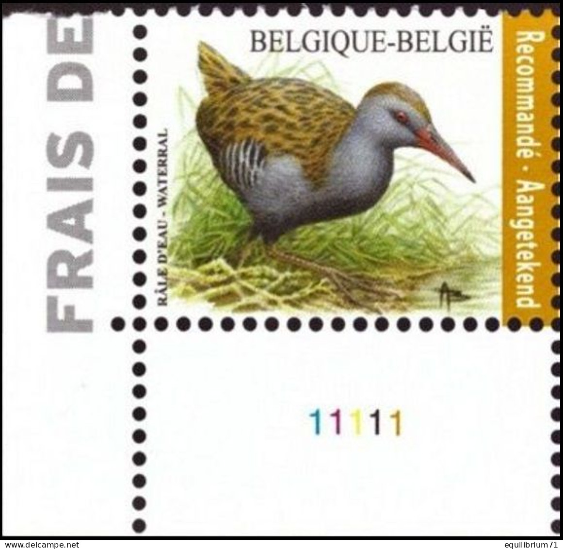 4671** PLANCHE I - Râle D'eau / Water Rammelaar - BUZIN - BELGIQUE / BELGIË / BELGIEN - RECOMMANDÉ / AANGETEKEND - 1985-.. Uccelli (Buzin)