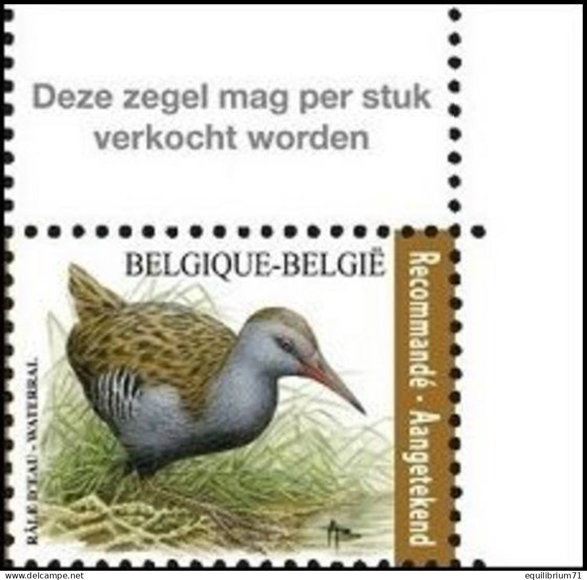 4671** - Râle D'eau / Water Rammelaar - BUZIN - BELGIQUE / BELGIË / BELGIEN - RECOMMANDÉ / AANGETEKEND - Cranes And Other Gruiformes