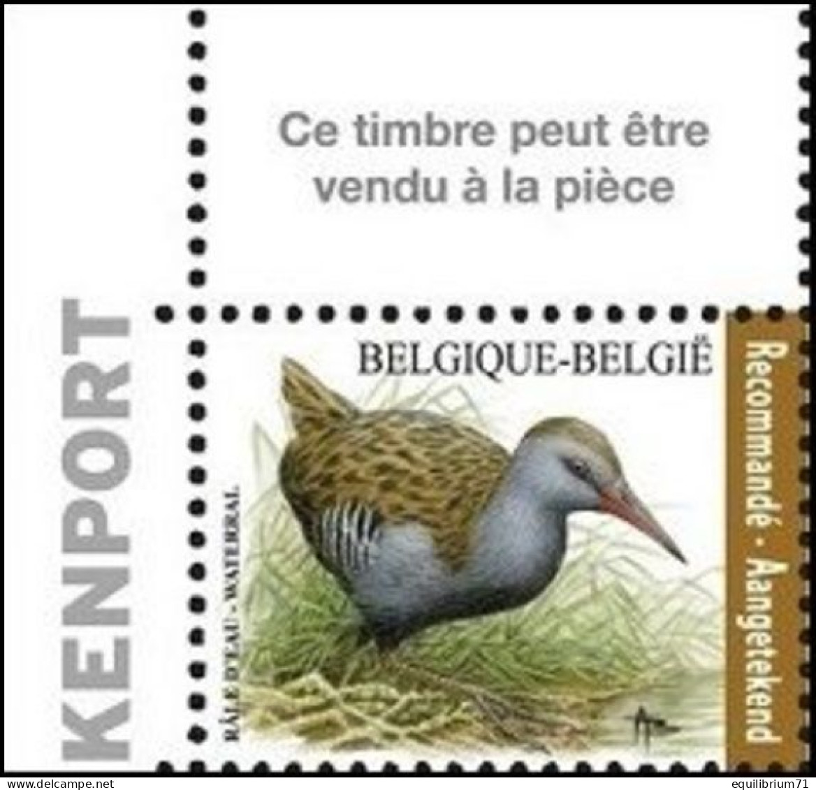 4671** - Râle D'eau / Water Rammelaar - BUZIN - BELGIQUE / BELGIË / BELGIEN - RECOMMANDÉ / AANGETEKEND - 1985-.. Pájaros (Buzin)