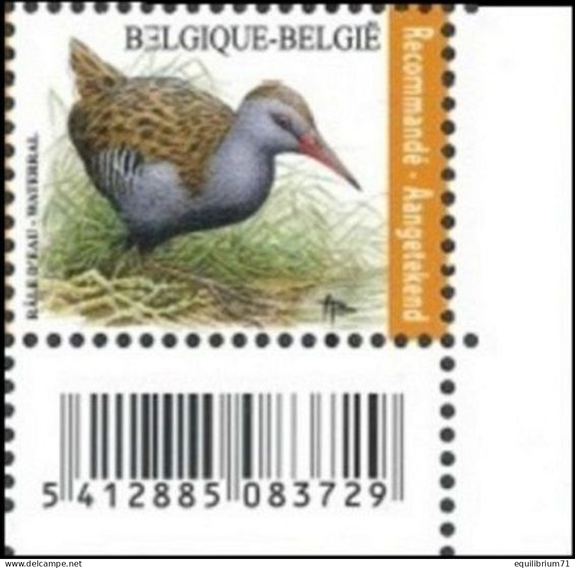 4671** - Râle D'eau / Water Rammelaar - BUZIN - BELGIQUE / BELGIË / BELGIEN - RECOMMANDÉ / AANGETEKEND - 1985-.. Uccelli (Buzin)