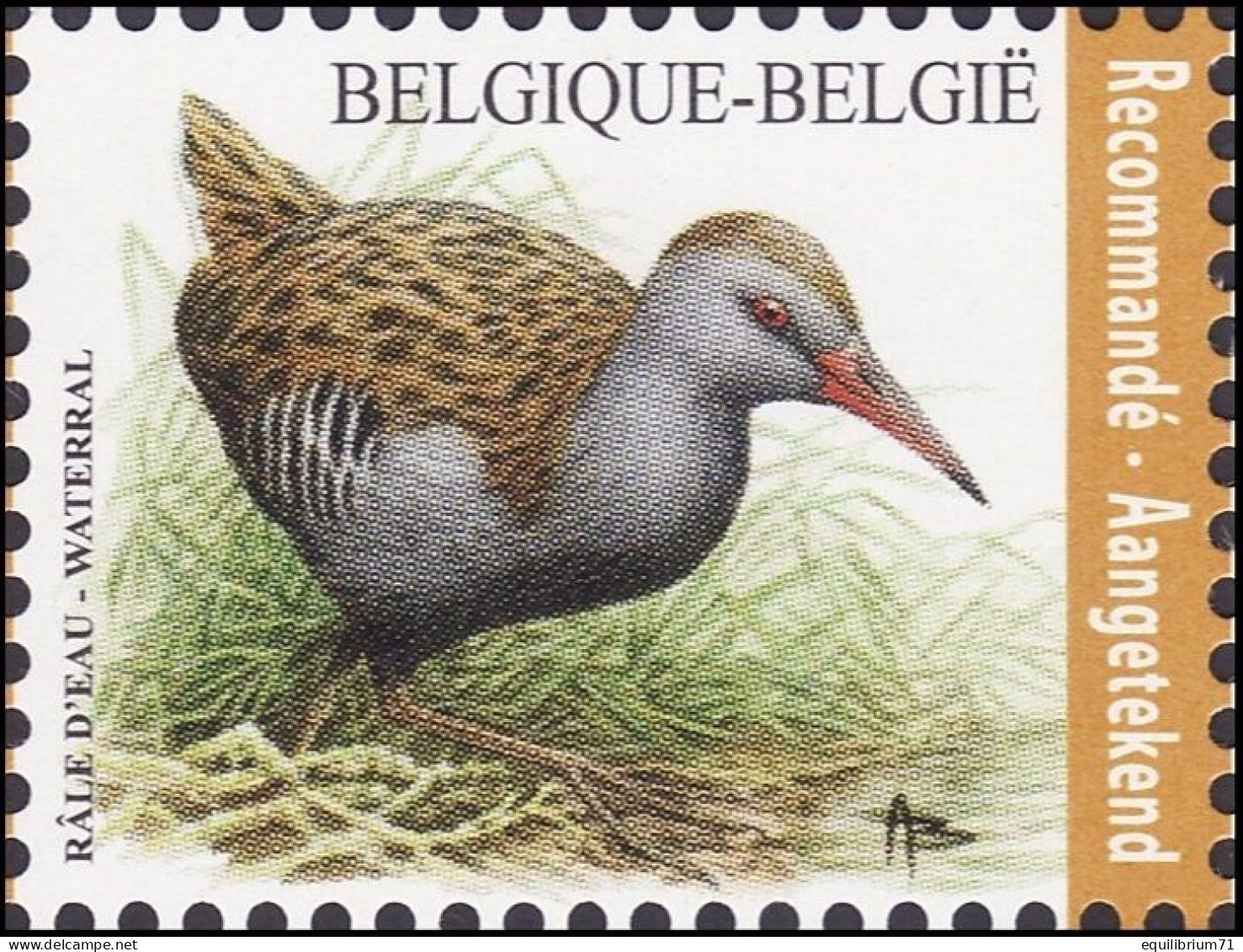 4671** - Râle D'eau / Water Rammelaar - BUZIN - BELGIQUE / BELGIË / BELGIEN - RECOMMANDÉ / AANGETEKEND - Aves Gruiformes (Grullas)