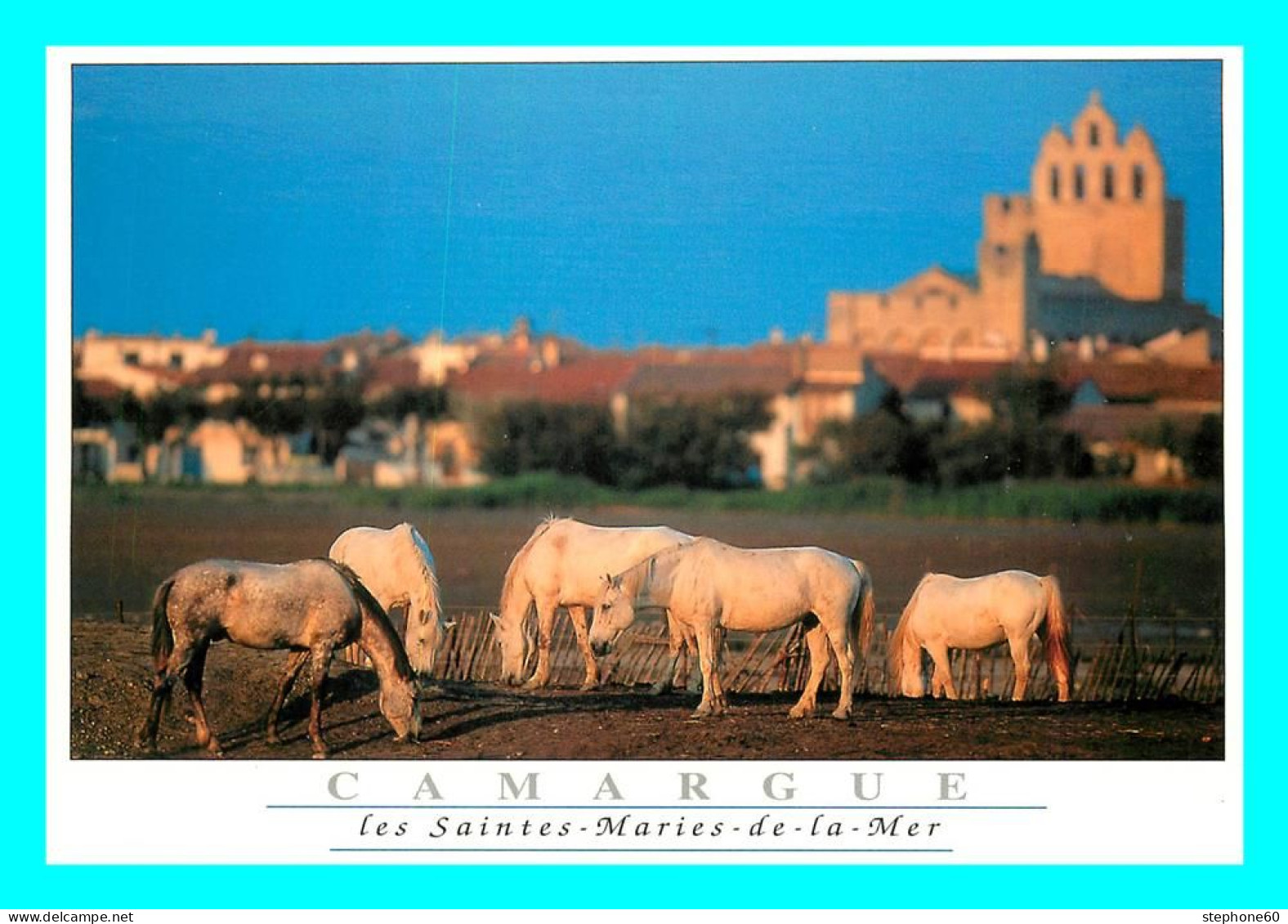 A768 / 325 13 - SAINTES MARIES DE LA MER Camargue Chevaux - Saintes Maries De La Mer