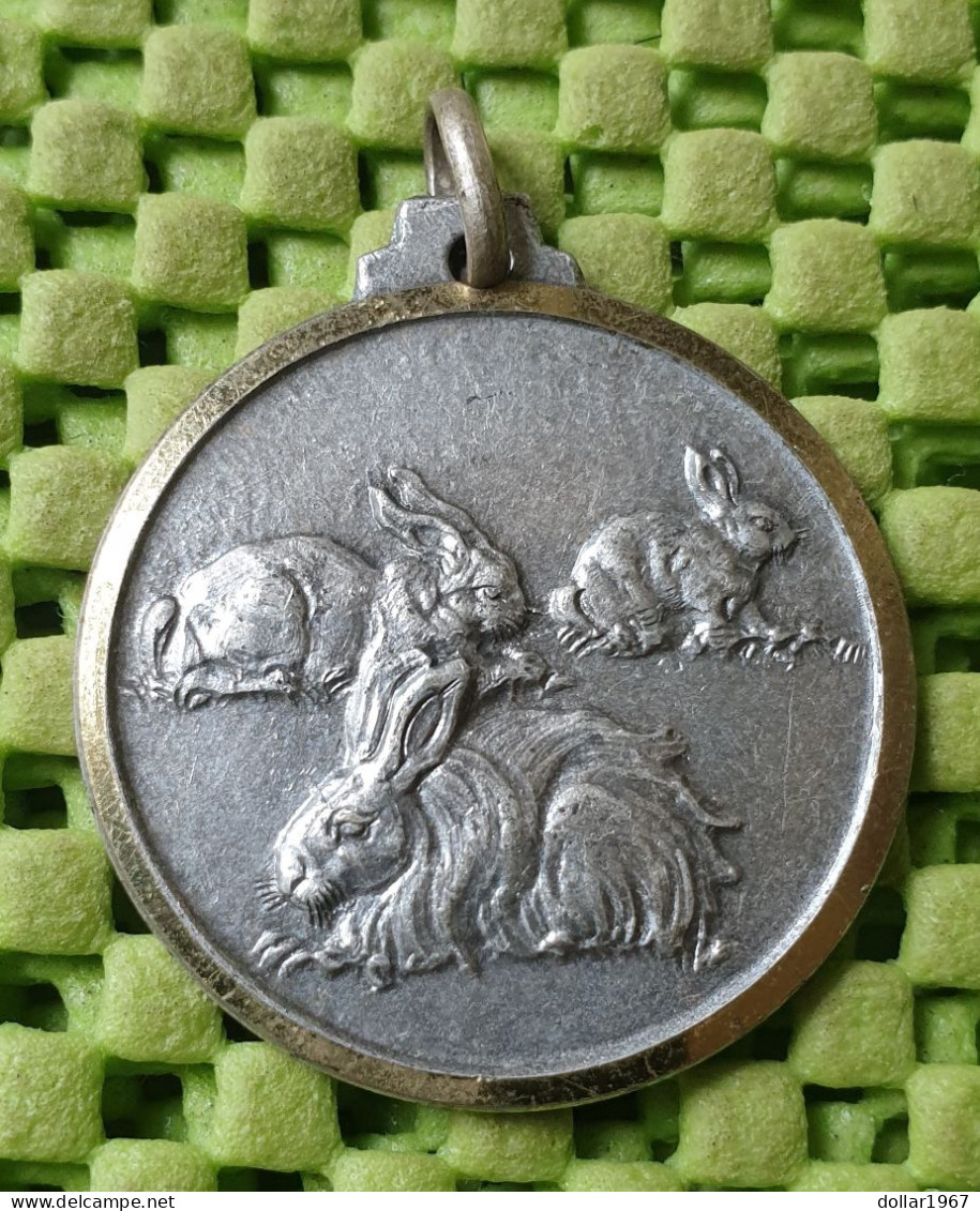 Medaile :  Konijnen - -Rabbit /  Kaninchen / Lapin / Coniglio / Заек /= + 1960 -  Original Foto  !!  Medallion  Dutch - Andere & Zonder Classificatie