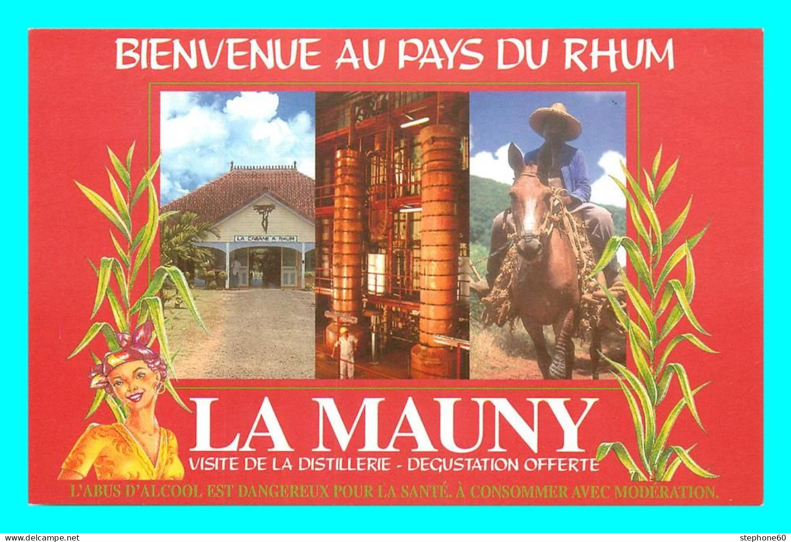 A770 / 291 MARTINIQUE Riviere Pilote Distillerie La Mauny - Other & Unclassified