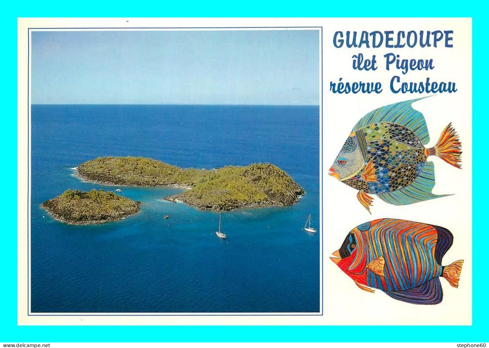 A771 / 313 GUADELOUPE Ilet Pigeon - Autres & Non Classés