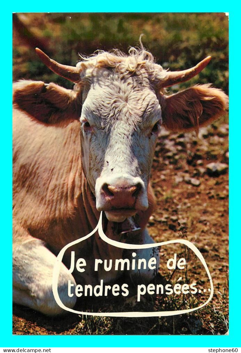 A771 / 633 VACHE - Vaches