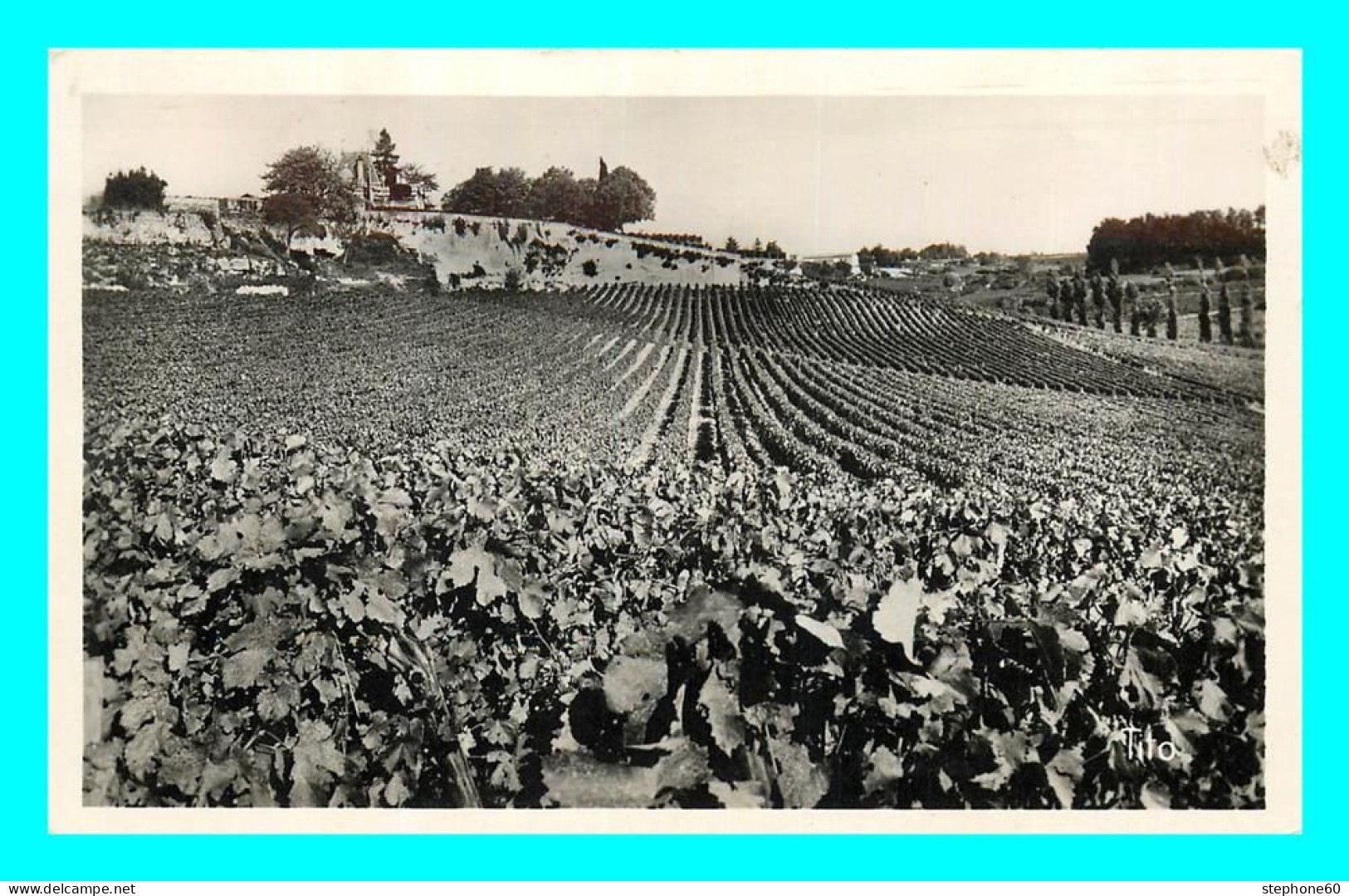 A775 / 191 33 - SAINT EMILION Château AUSONE Le Vignoble - Saint-Emilion