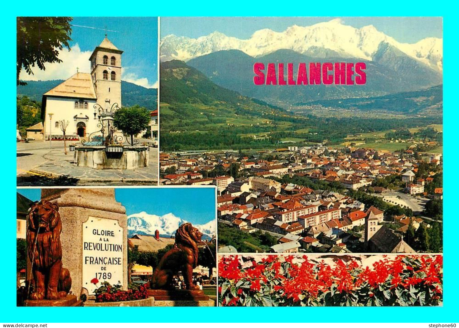 A779 / 035 74 - SALLANCHES Multivues - Sallanches