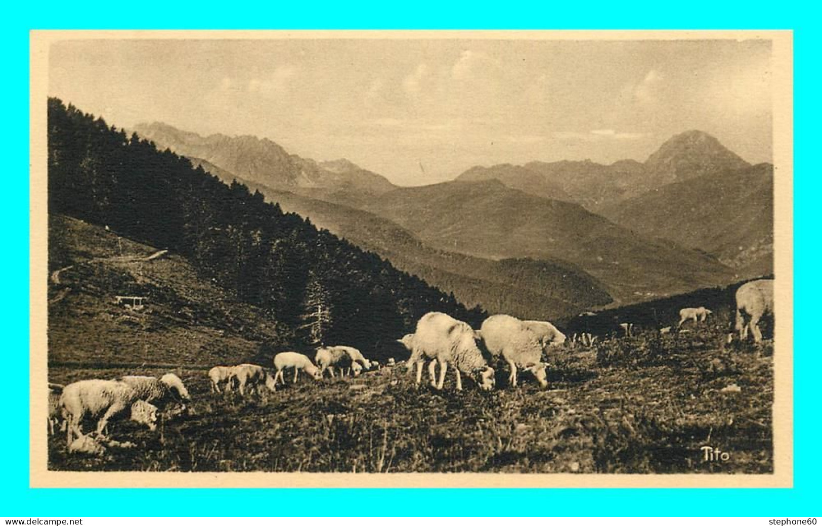 A782 / 353 65 - Le Col D'Aspin Moutons Au Pâturage - Autres & Non Classés