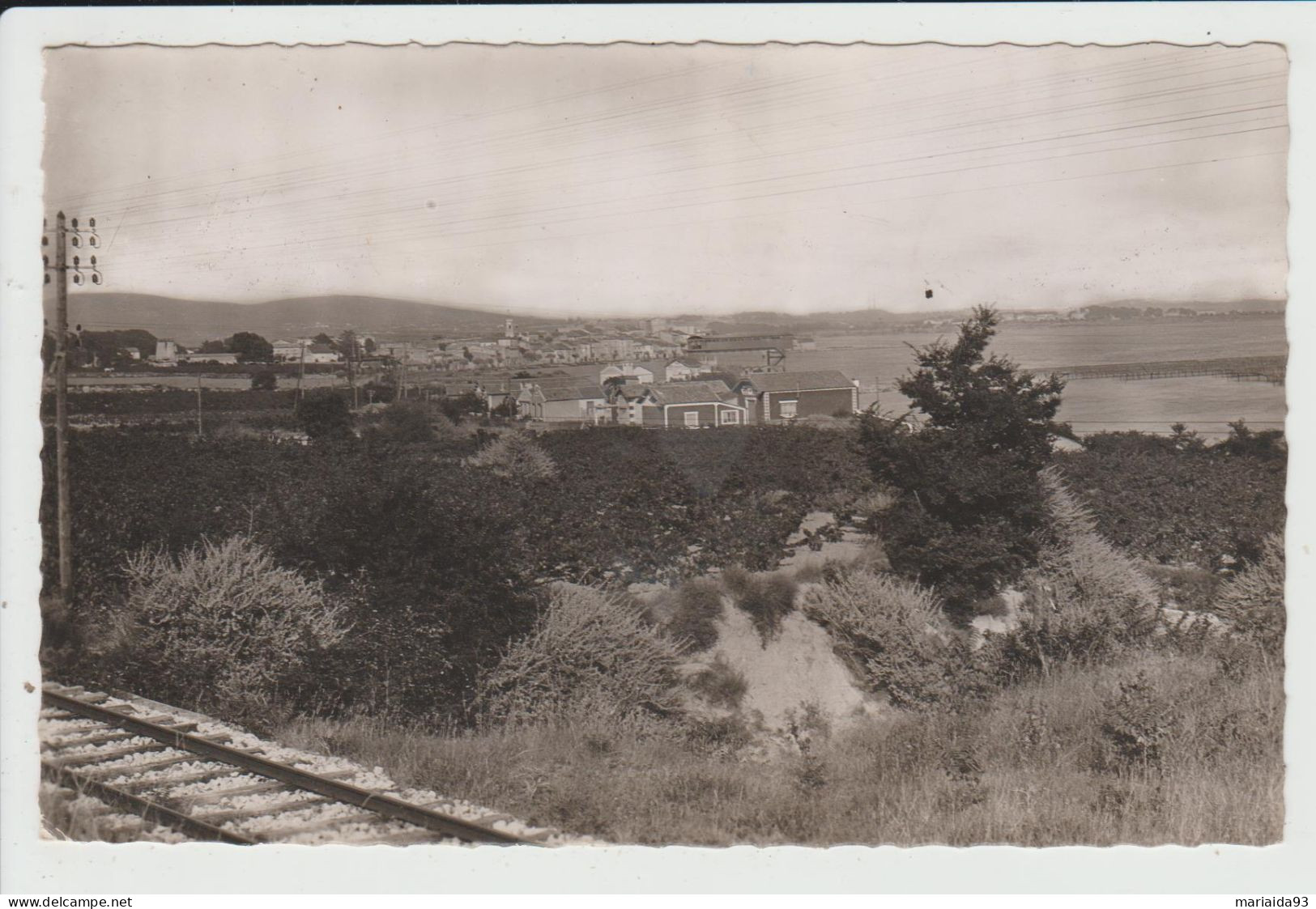 BOUZIGUES - HERAULT - VUE D'ENSEMBLE MAS ET VILLAGE - Altri & Non Classificati