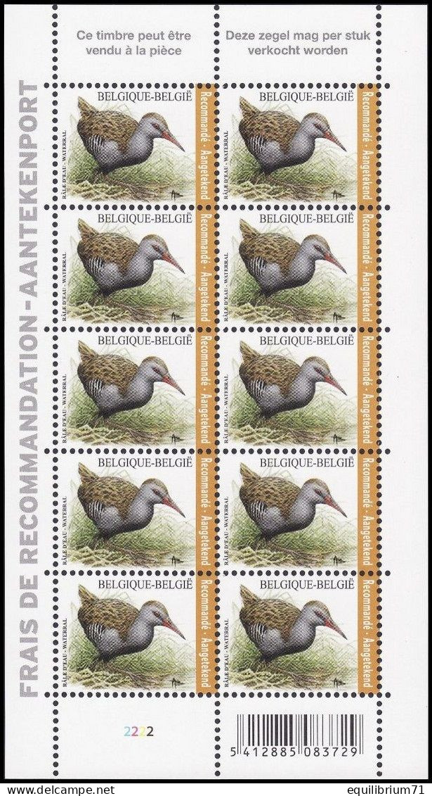 4671** PLANCHE II - Râle D'eau / Water Rammelaar - BUZIN - BELGIQUE / BELGIË / BELGIEN - RECOMMANDÉ / AANGETEKEND - 1985-.. Pájaros (Buzin)