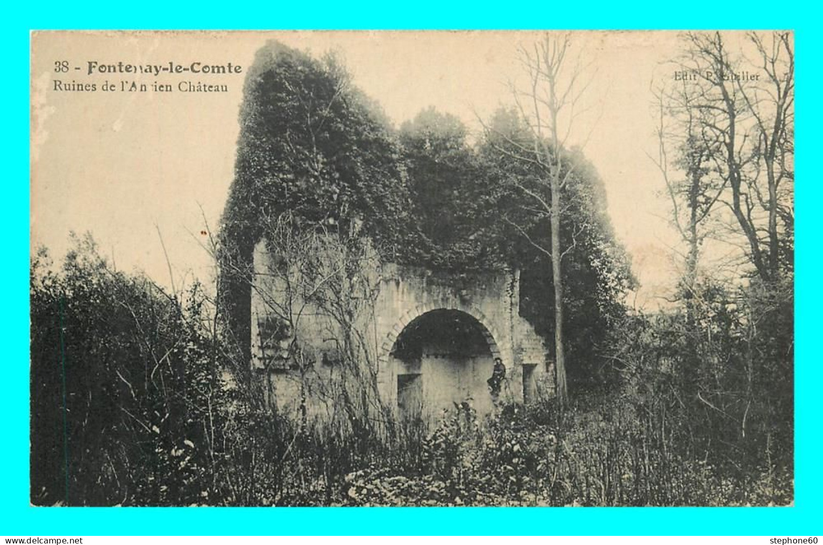 A790 / 391 85 - FONTENAY LE COMTE Ruines De L'Ancien Chateau - Fontenay Le Comte