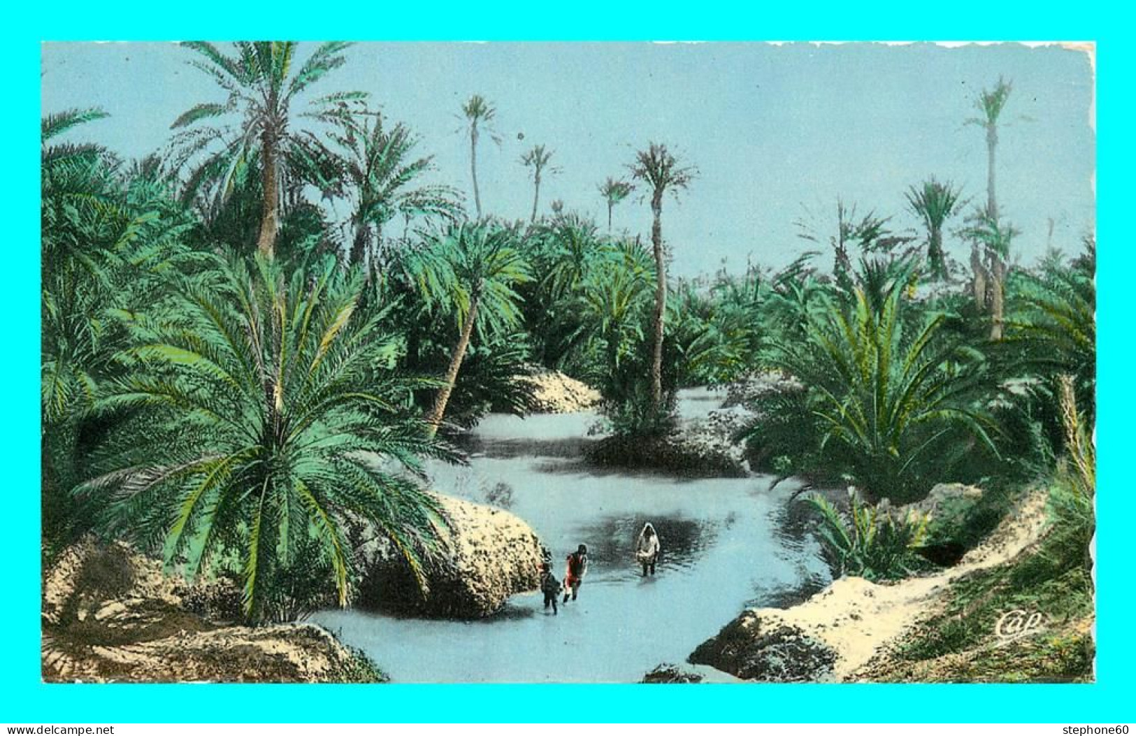 A792 / 449 SCENES Et TYPES Un Oued Dans L'Oasis - Scene & Tipi