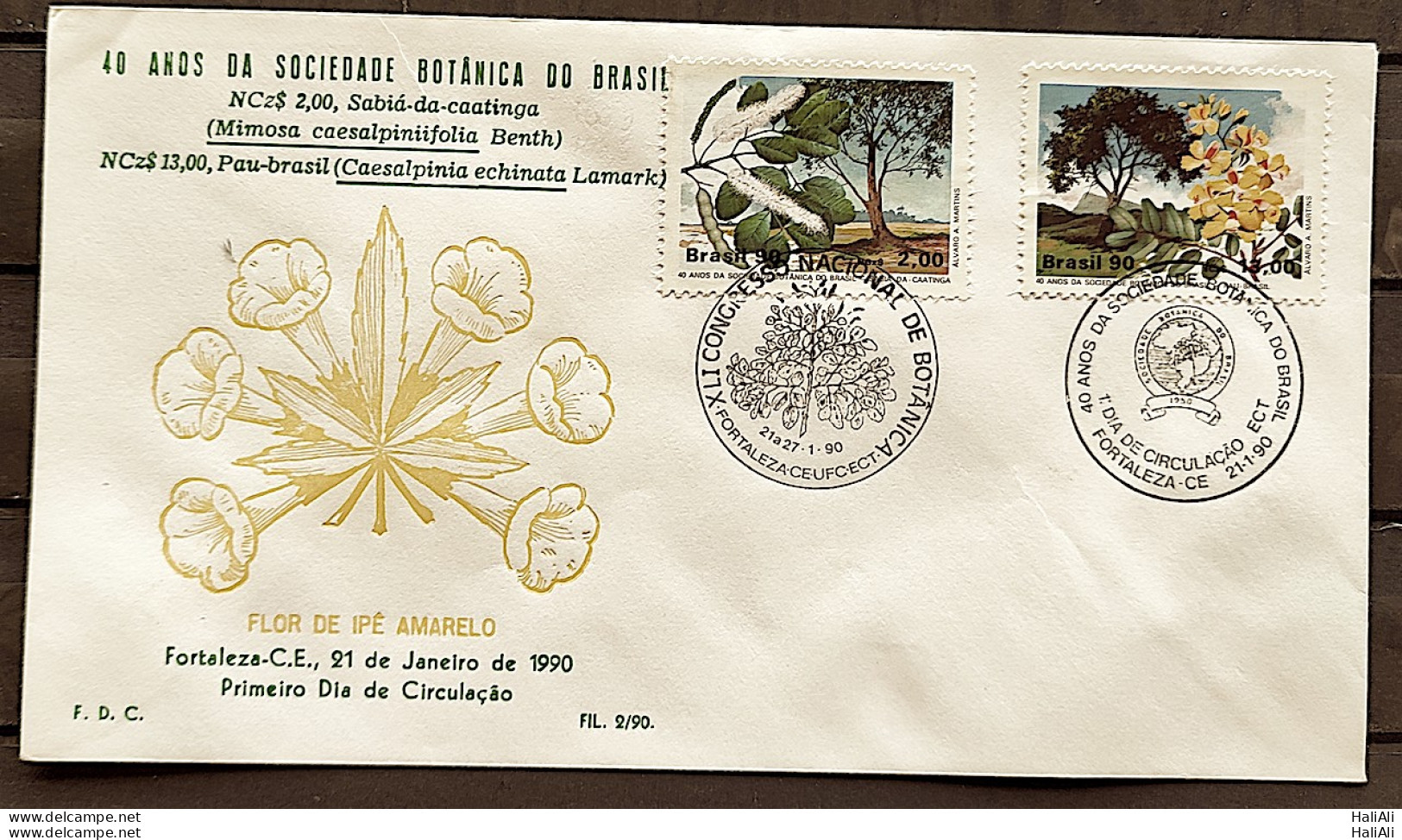 Brazil Envelope PVT FIL 002 1990 Botany Society Pau Brasil Ipe CBC CE 1 - FDC