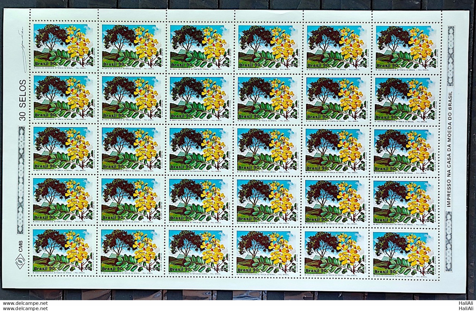C 1666 Brazil Stamp 40 Years Of The Botanical Society Pau Brasil 1990 Sheet - Nuevos