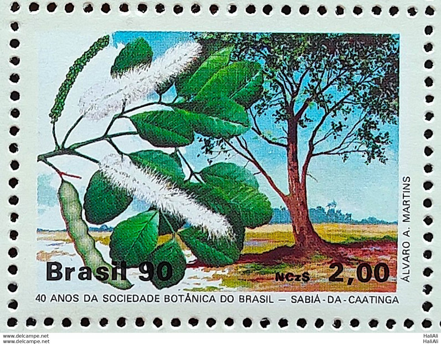 C 1665 Brazil Stamp 40 Years Of The Botanical Society Sabiá Da Caatinga 1990 - Nuevos