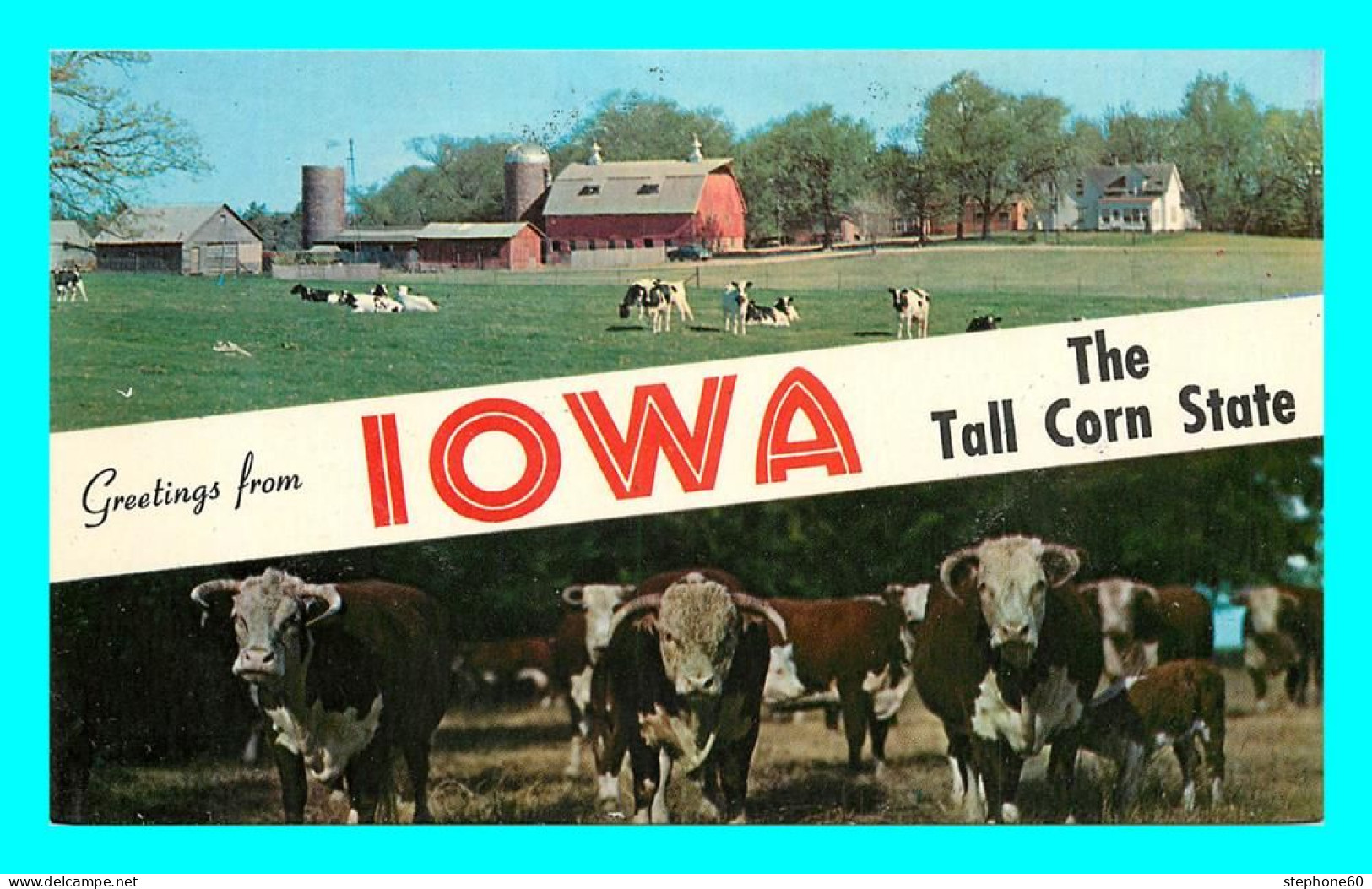 A792 / 259 IOWA ( Vache ) Multivues - Autres & Non Classés