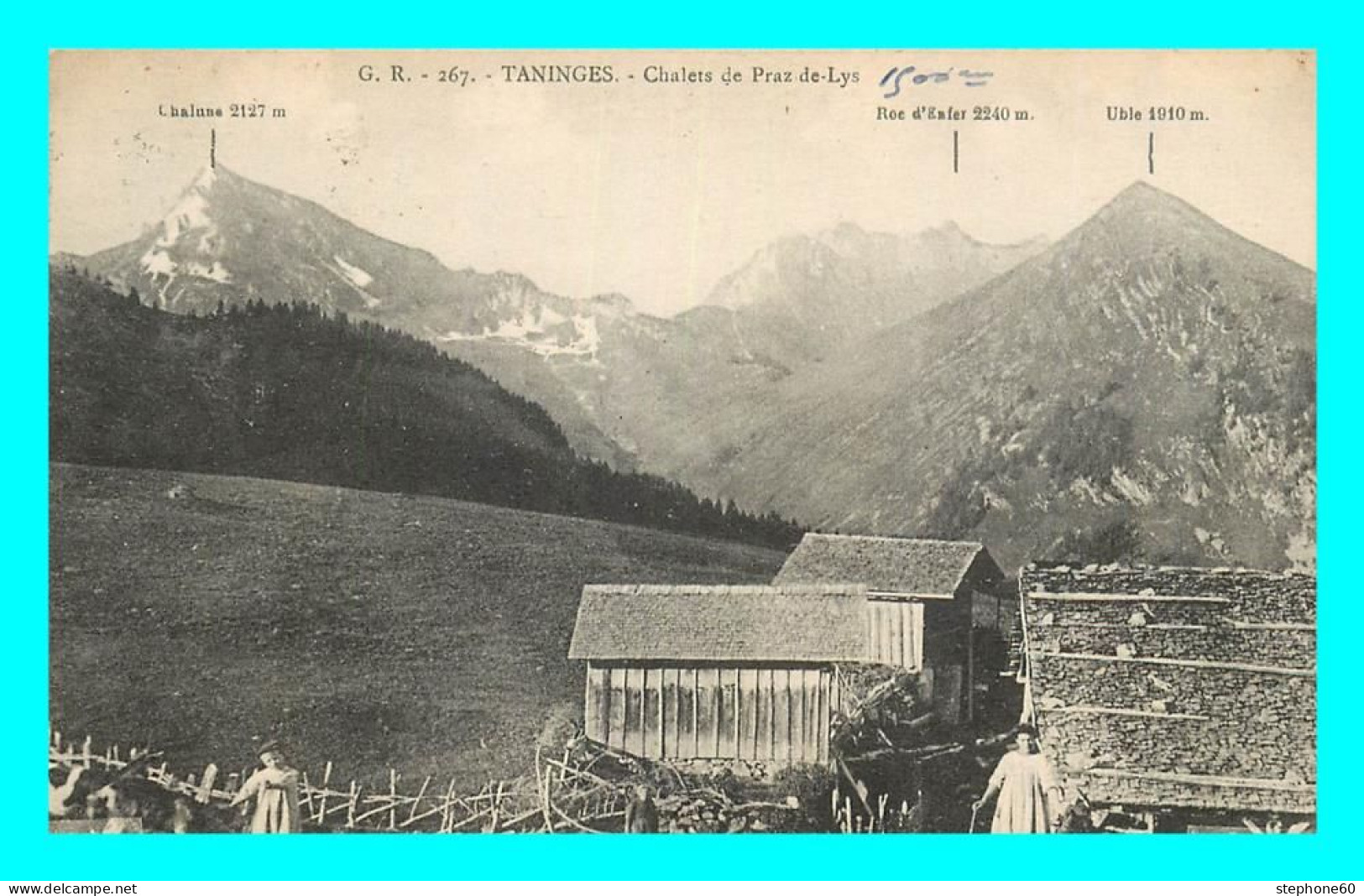 A801 / 317 74 - TANINGES Chalets De Praz De Lys - Taninges