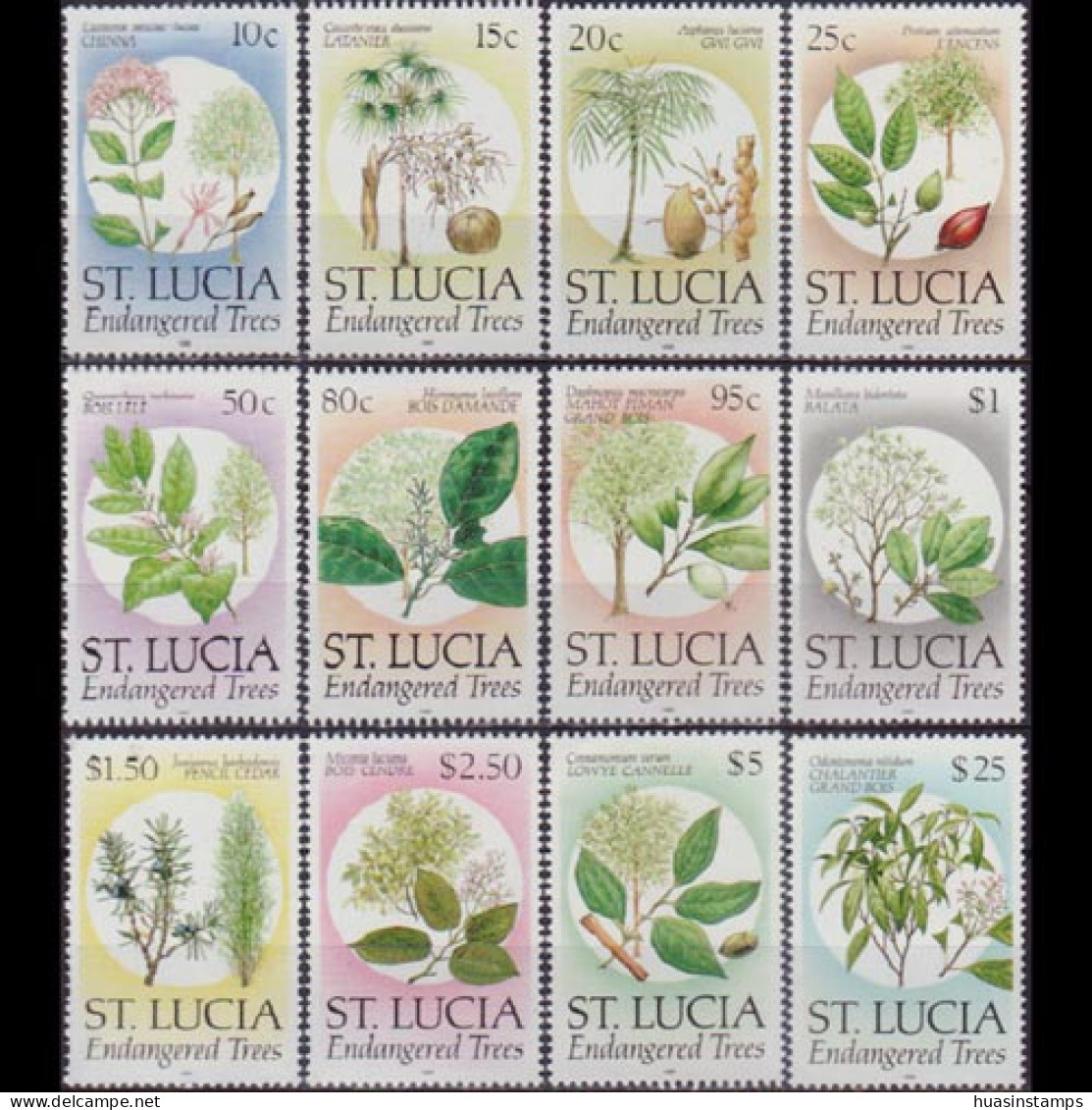 ST.LUCIA 1990 - Scott# 953-64 Endang.Trees Set Of 12 MNH - St.Lucie (1979-...)