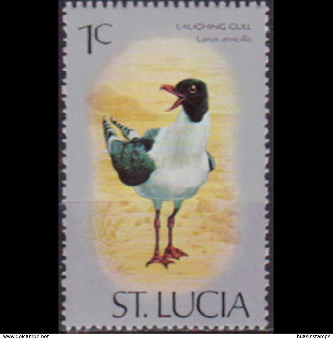 ST.LUCIA 1976 - Scott# 387 Laughing Gull 1c MNH - St.Lucie (1979-...)