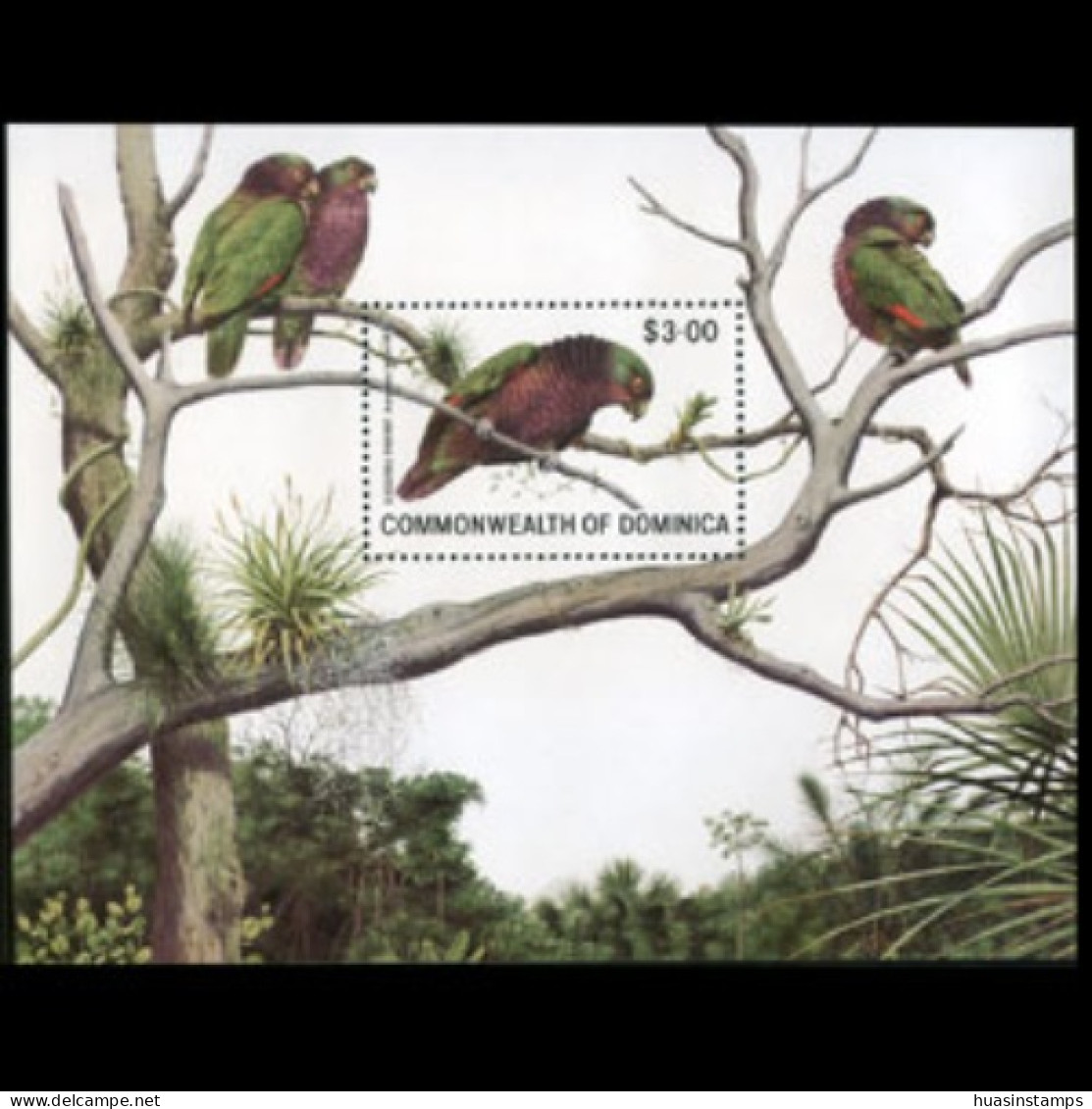 DOMINICA 1981 - Scott# 700 S/S Parrot MNH - Dominica (1978-...)
