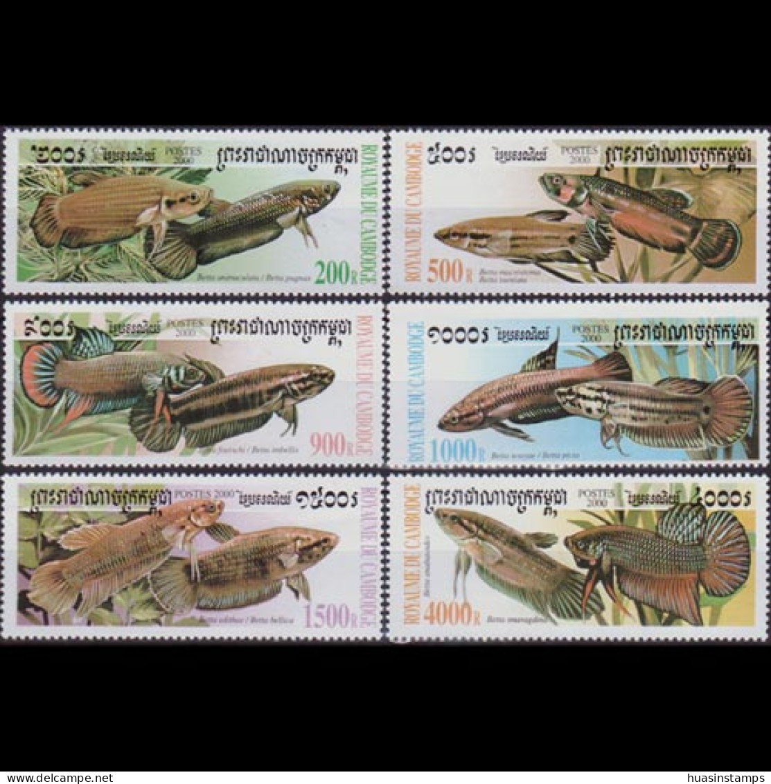 CAMBODIA 2000 - Scott# 1945-50 Fish-Bettas Set Of 6 MNH - Cambodja