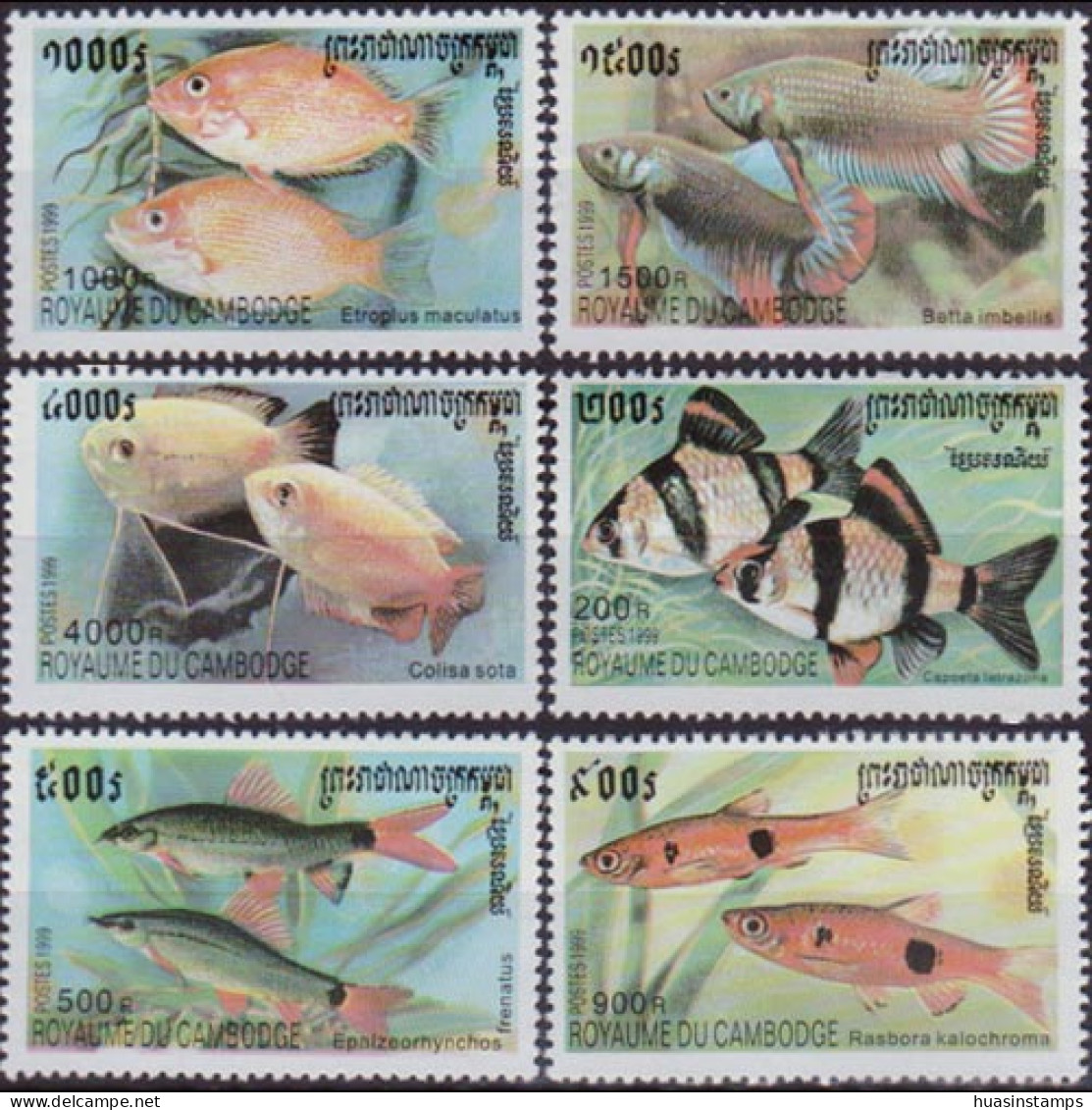 CAMBODIA 1999 - Scott# 1903-8 Fish Set Of 6 MNH - Cambodia