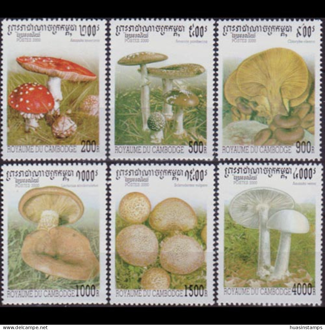 CAMBODIA 2000 - Scott# 1952-7 Mushrooms Set Of 6 MNH - Cambodja