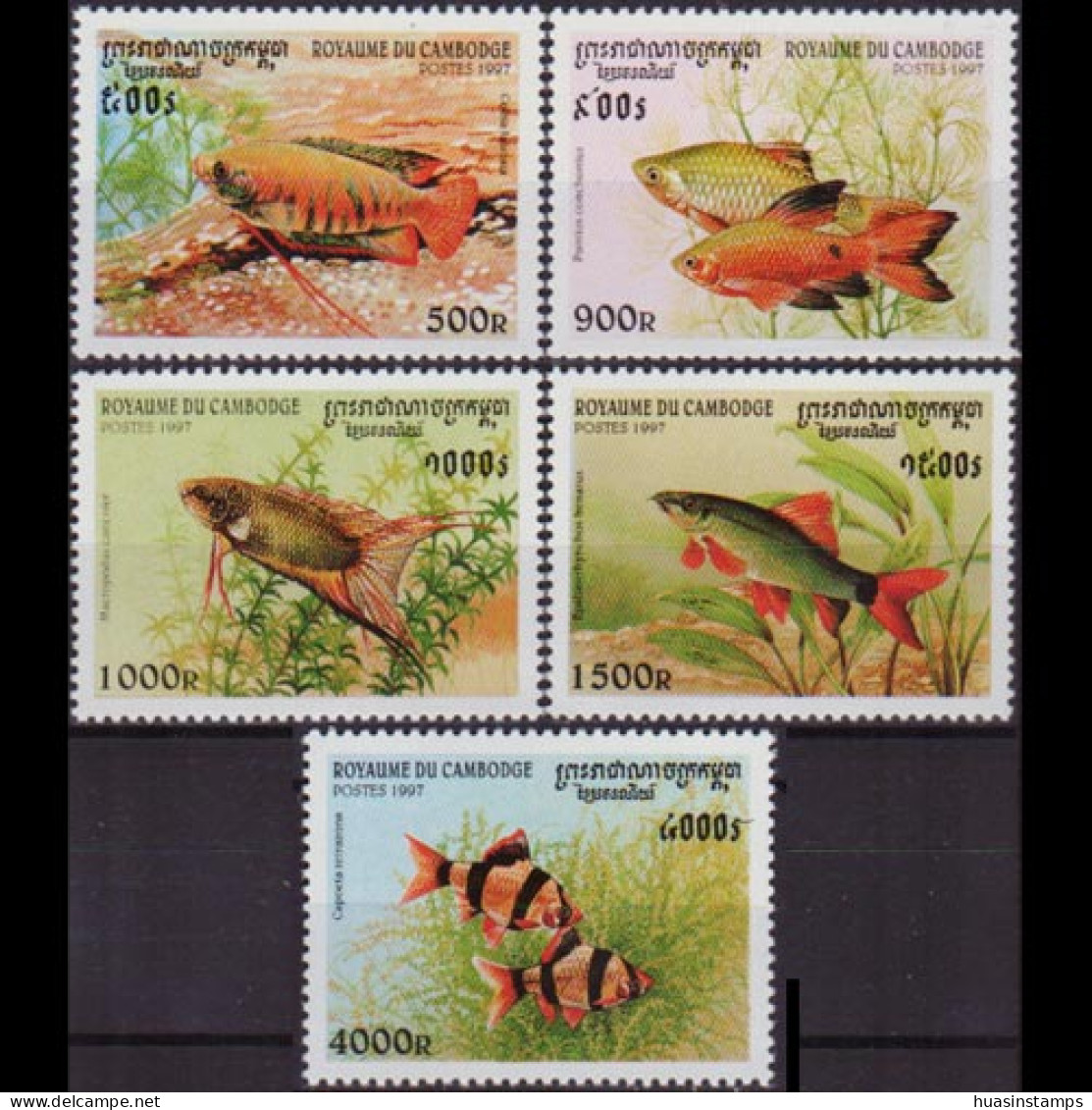 CAMBODIA 1997 - Scott# 1670-74 Fish 500-4000r MNH - Cambodja