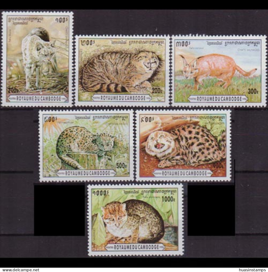 CAMBODIA 1996 - Scott# 1491-6 Wild Cats Set Of 6 MNH - Kambodscha