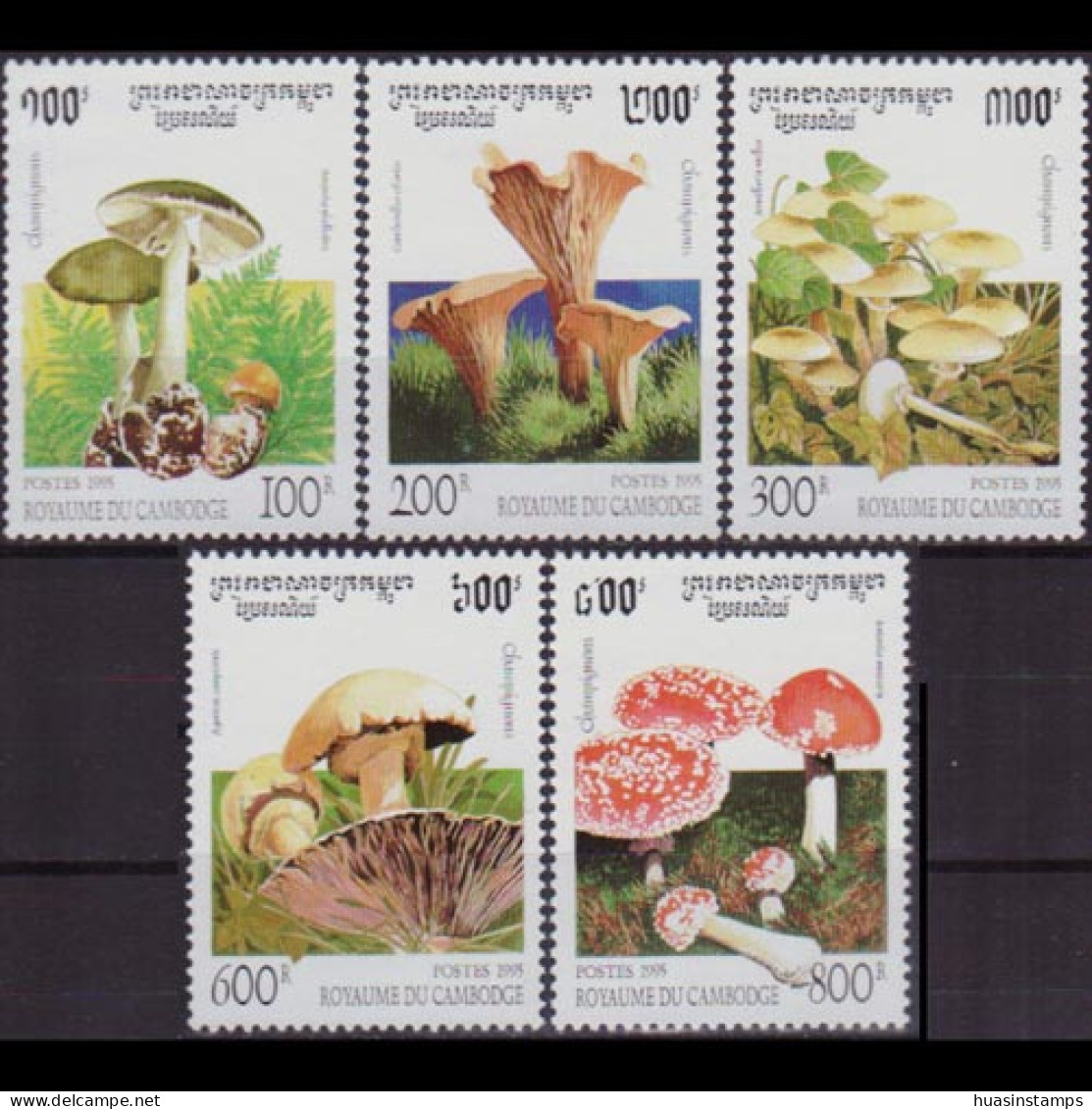 CAMBODIA 1995 - Scott# 1426-30 Mushrooms Set Of 5 MNH - Cambodja