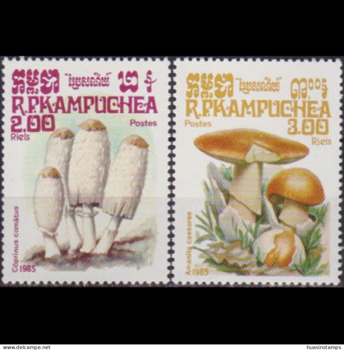 CAMBODIA 1985 - Scott# 573-4 Mushrooms 2-3r MNH - Camboya