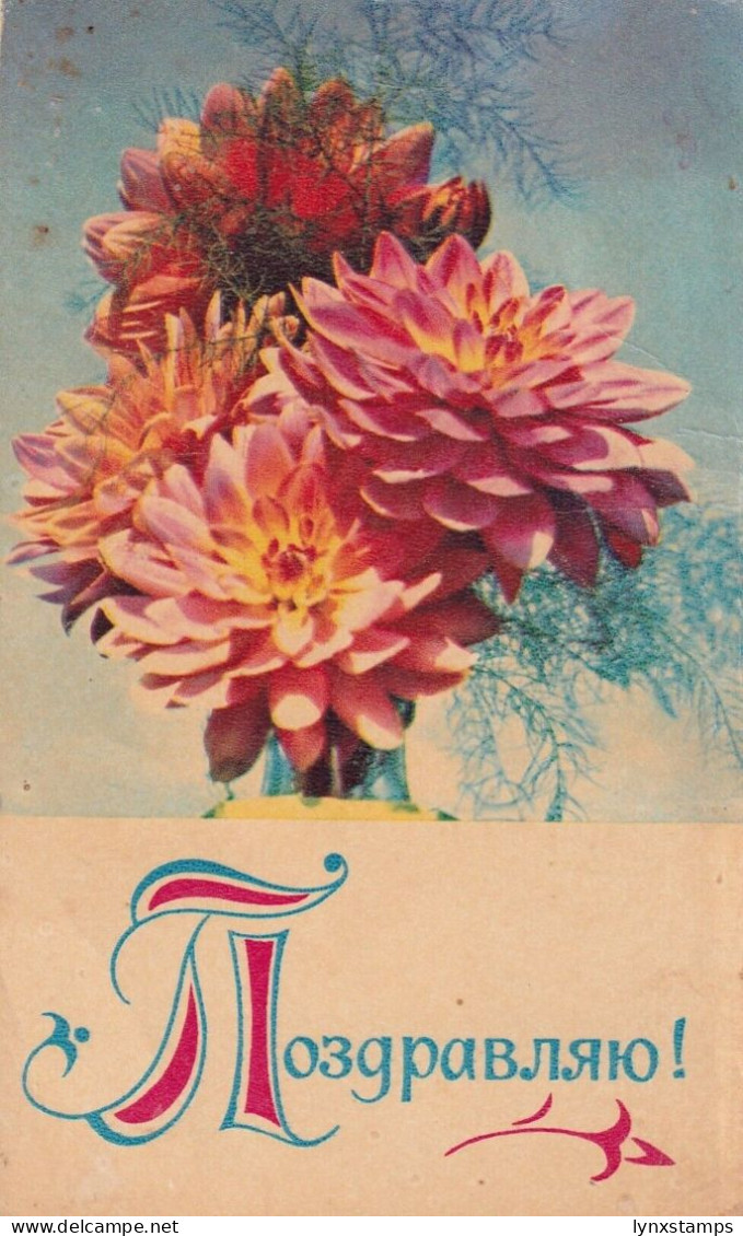 G018 Russia 1971 Flowers Postal Stationery - 1970-79