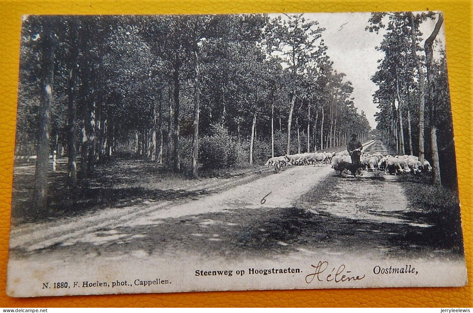 OOSTMALLE  - Steenweg Op Hoogstraeten   -  1919 - Malle