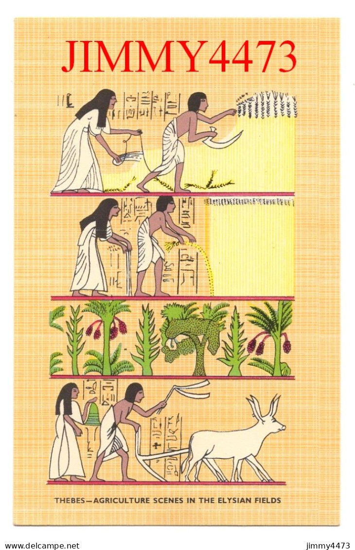 CPA - THEBES ( Louxor ) AGRICULTURE SCENES IN THE ELYSIAN FIELDS - EGYPT - - Louxor