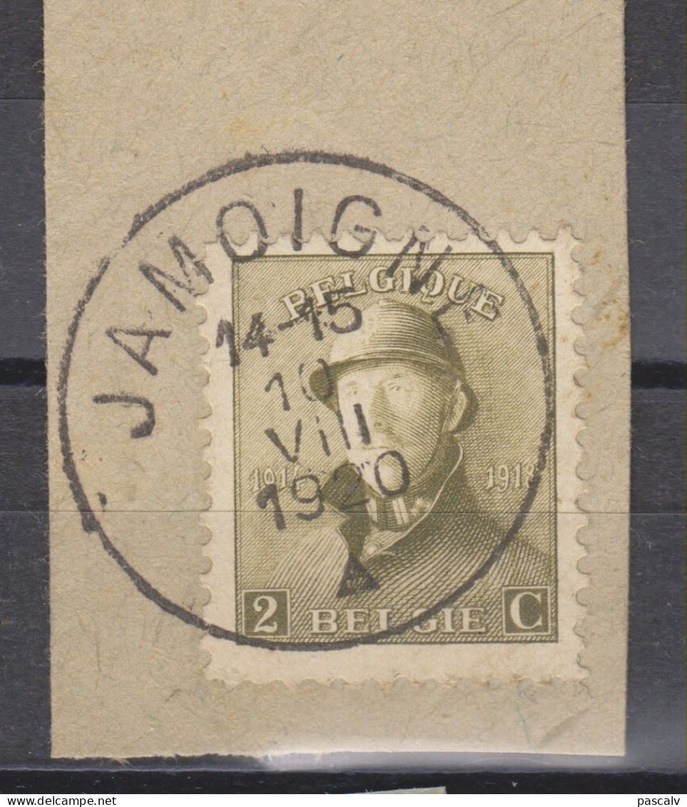COB 166 Sur Fragment Oblitération Centrale JAMOIGNE - 1919-1920 Behelmter König