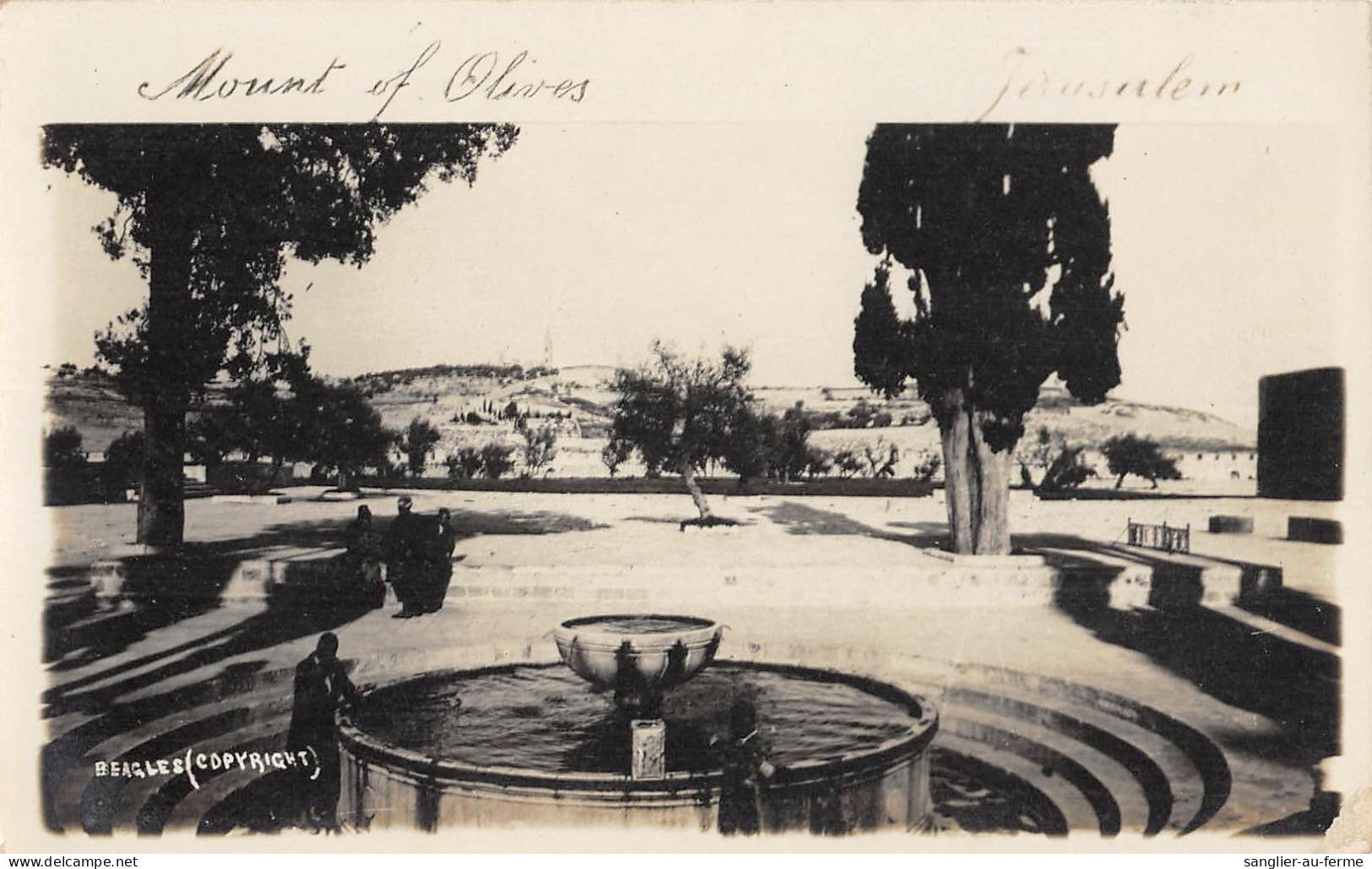 CPA / ISRAEL / JERUSALEM / CARTE PHOTO / MOUNT OF OLIVES - Israele