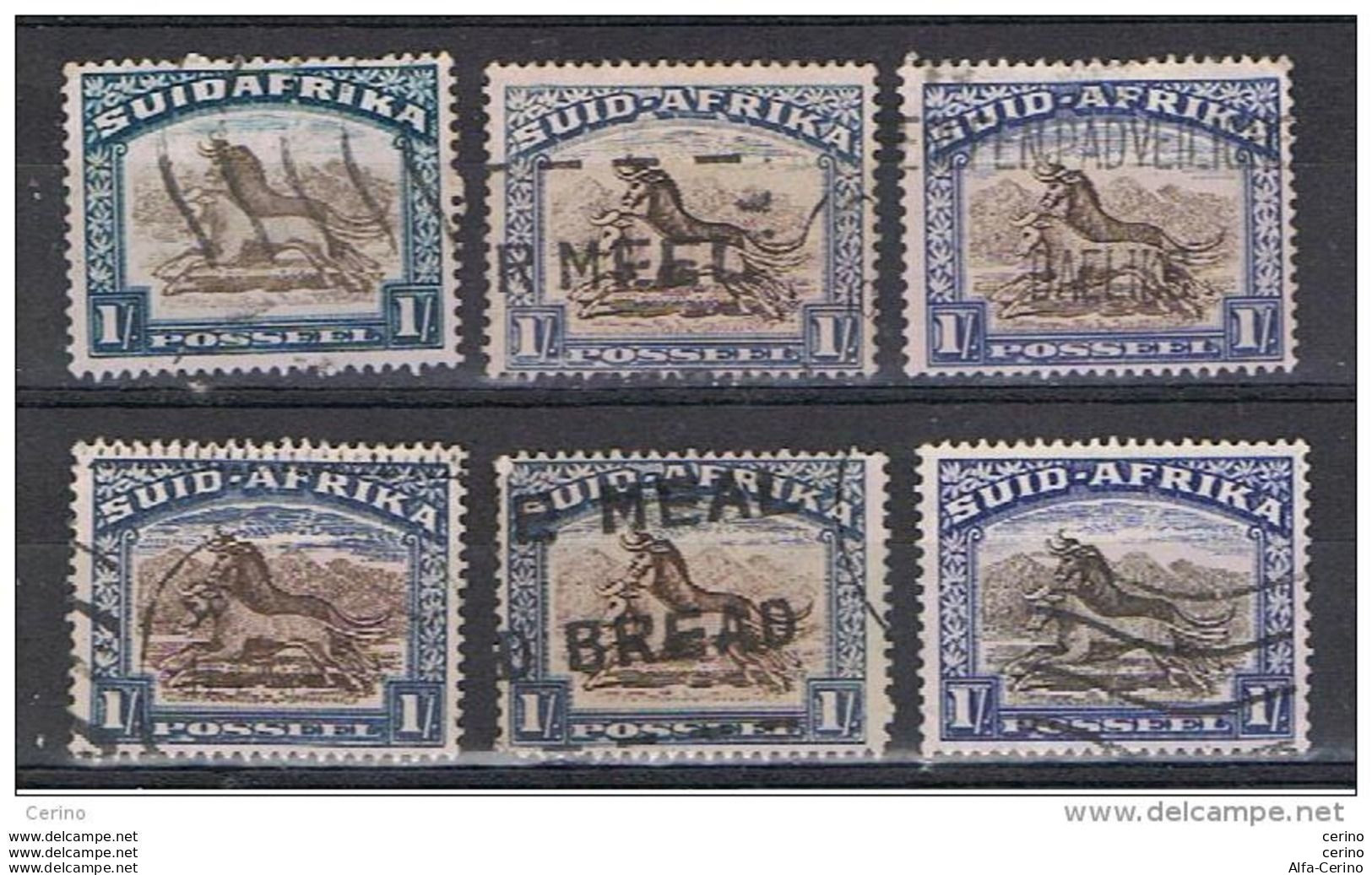 SOUTH  AFRICA:  1930/39  HORSES  -  LOT  6  USED  REP.  STAMPS  -  YV/TELL. 53//107 - Gebruikt