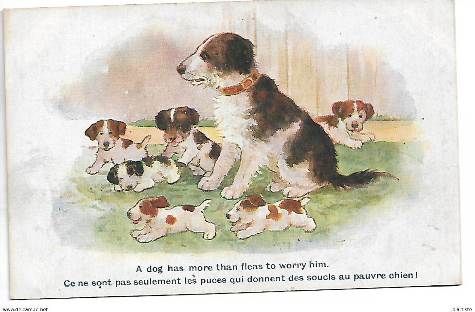 Illustrateur  Comique Serie N 2900 Famille Chiens,ce Ne Sont Pas Seulement  Ecrite N0172 - 1900-1949