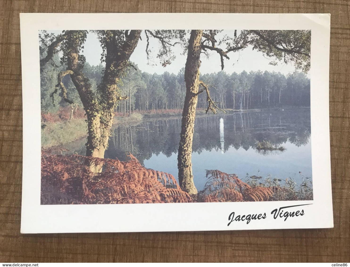 Septembre Sur Le Lac Jacques Vignes - Contre La Lumière