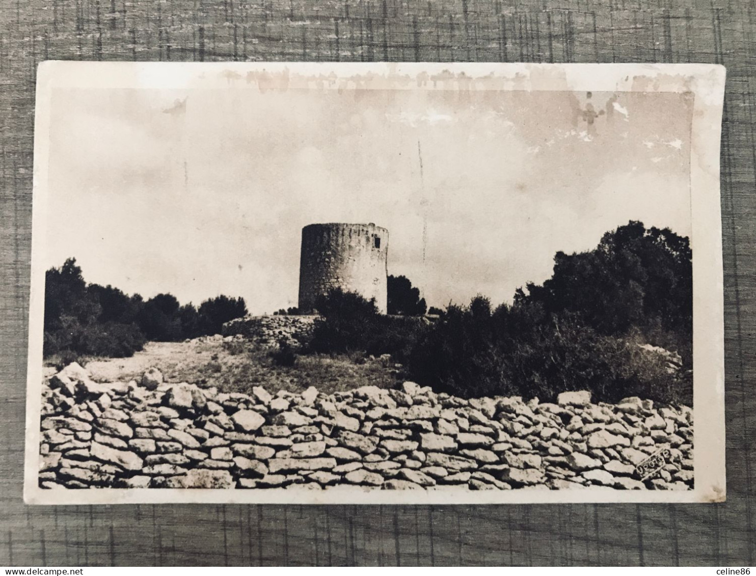  FONTVIELLE Moulin De A. Daudet (voir Lettre De Mon Moulin)  - Molinos De Viento