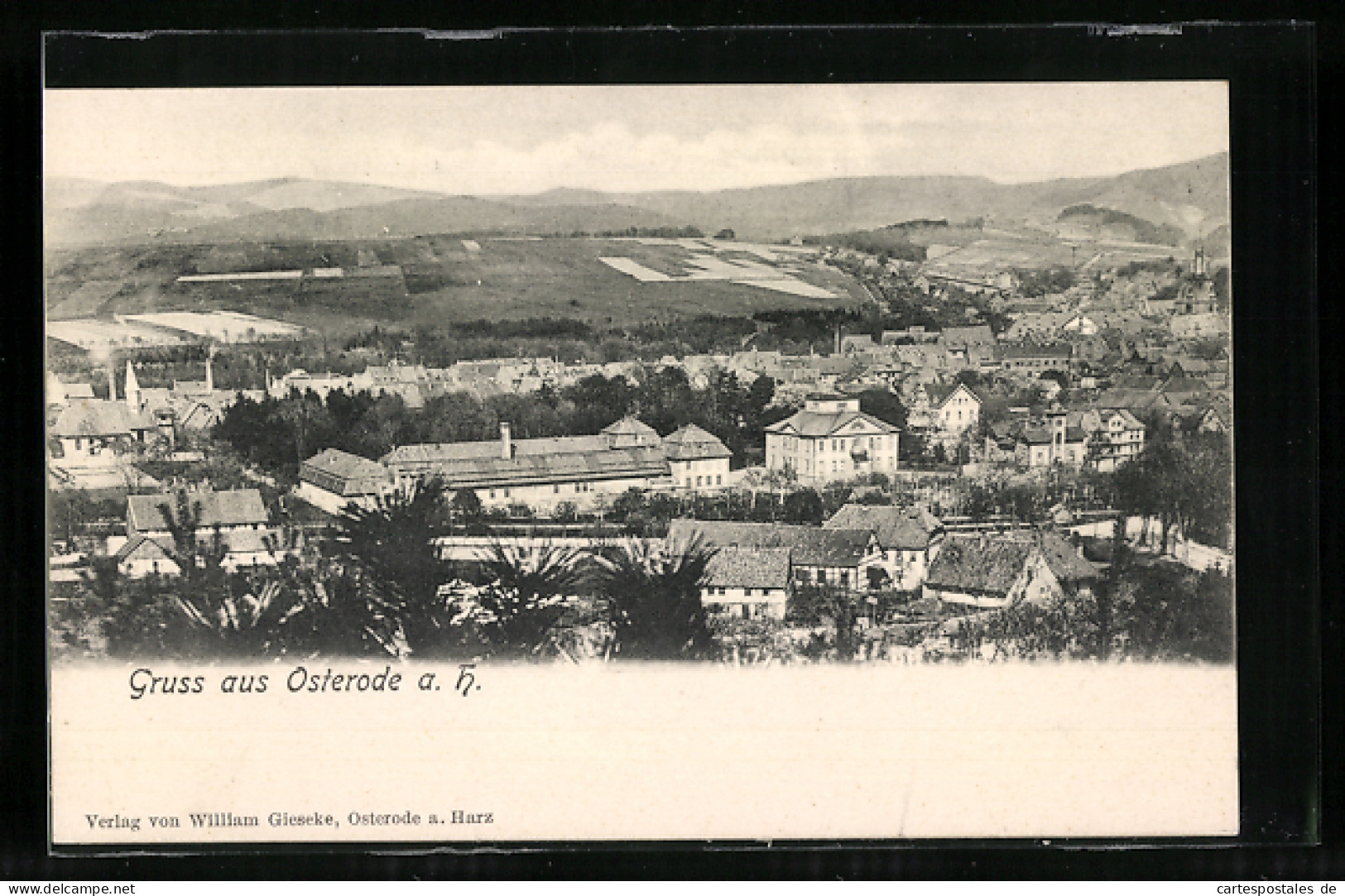 AK Osterode A. H., Teilansicht Mit Kirche  - Osterode