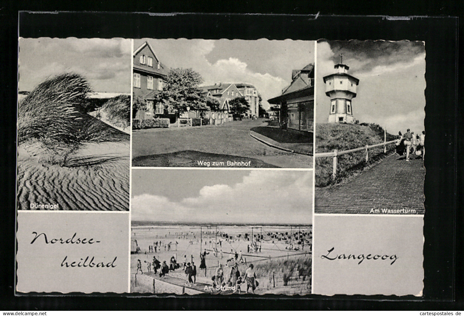 AK Langeoog, Nordseeheilbad, Weg Zum Bahnhof, Am Wasserturm, Dünenigel  - Langeoog
