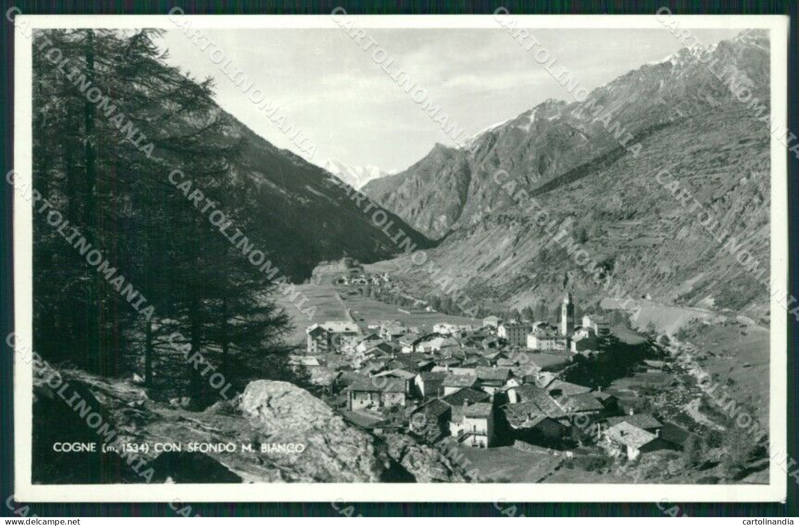 Aosta Cogne Foto Cartolina KV3028 - Aosta