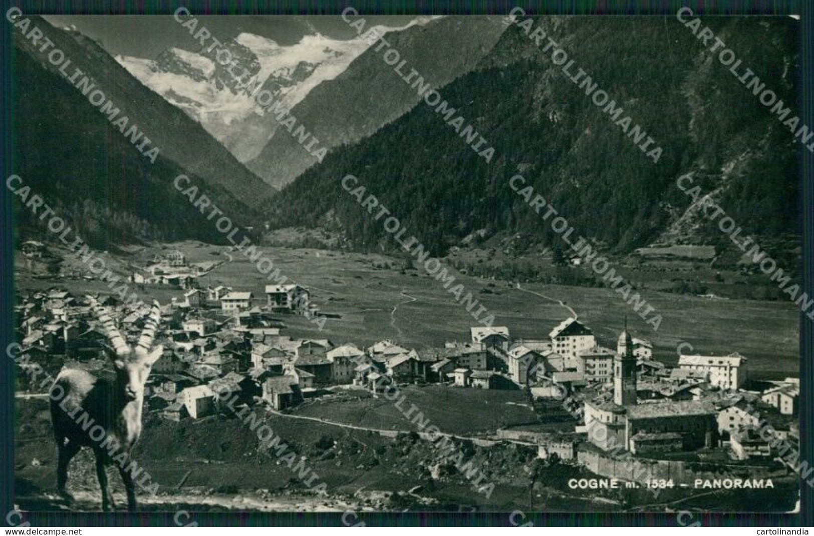 Aosta Cogne Foto Cartolina KV3034 - Aosta