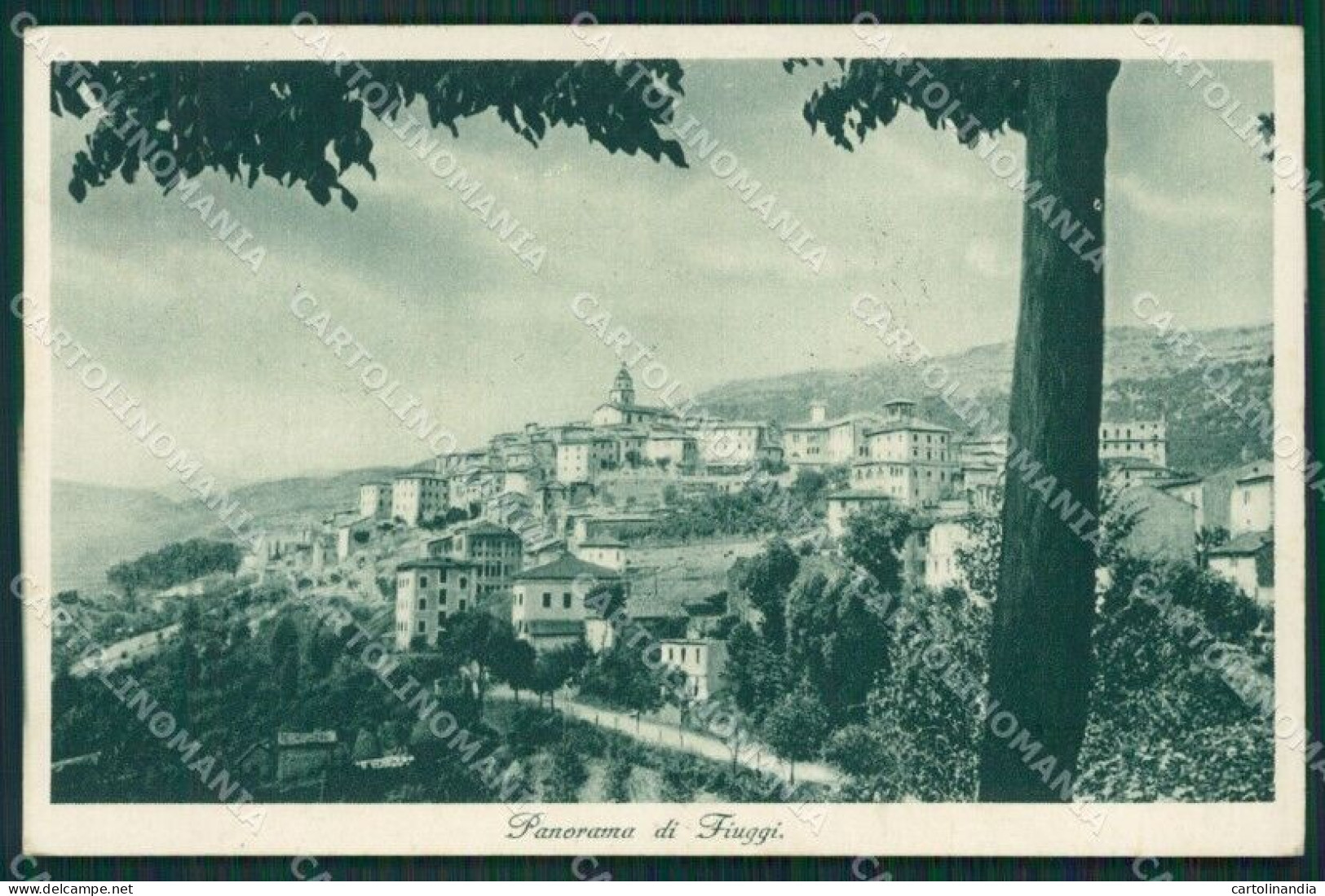 Frosinone Fiuggi Cartolina KV3222 - Frosinone