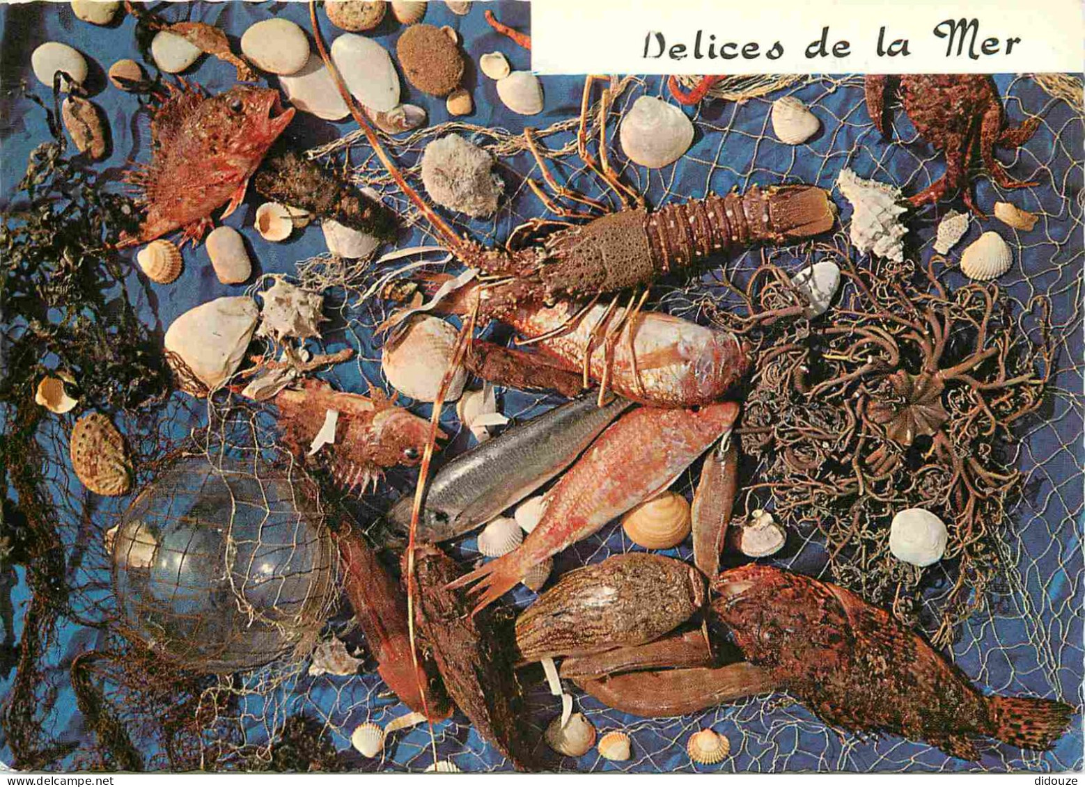 Recettes De Cuisine - Fruits De Mer - Délices De La Mer - Gastronomie - CPM - Voir Scans Recto-Verso - Recipes (cooking)