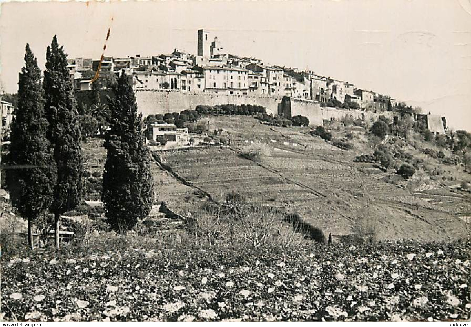 06 - Saint Paul De Vence - Vue Générale - Mention Photographie Véritable - Carte Dentelée - CPSM Grand Format - Voir Sca - Saint-Paul