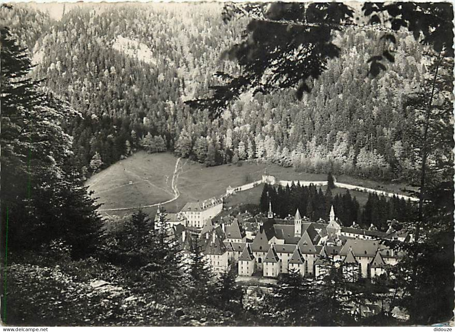 38 - La Grande Chartreuse - Monastère De La Grande Chartreuse - Vue Générale - Carte Dentelée - CPSM Grand Format - Voir - Chartreuse